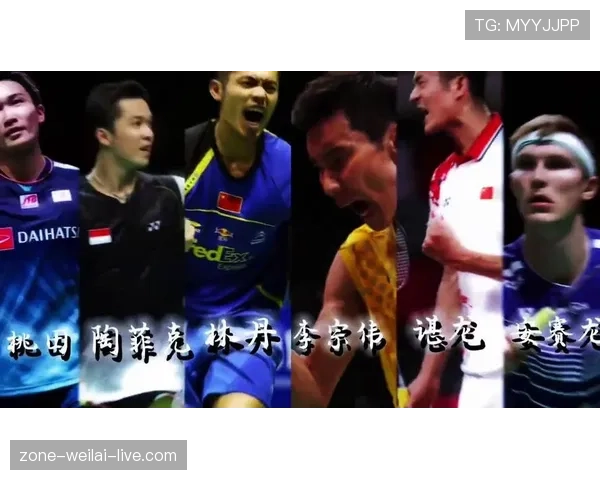 假如李宗伟去拍综艺，节目组是不是得先准备个保险箱装片酬