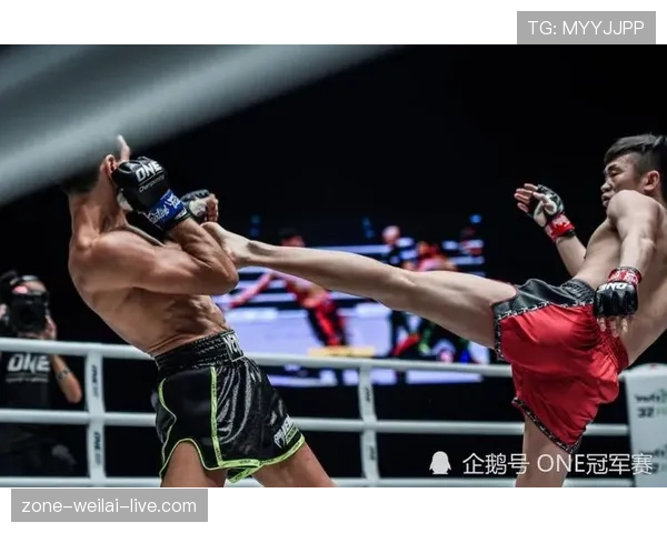 富里睡醒发现自家马场又多了两匹纯血马，账单比对手还难KO